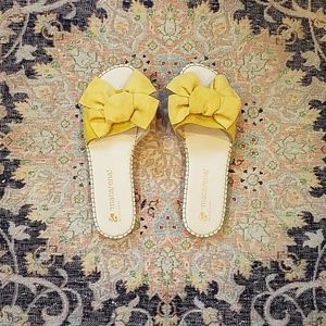 Yellow slides from Spain